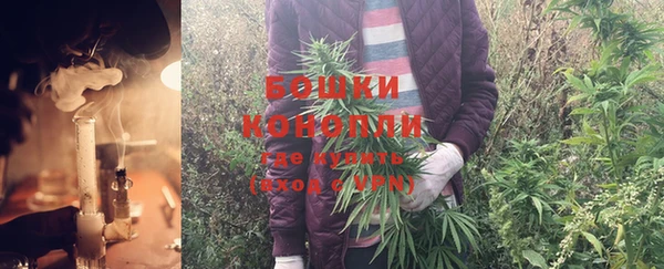 ПСИЛОЦИБИНОВЫЕ ГРИБЫ Заволжье