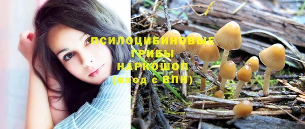 мет Заводоуковск