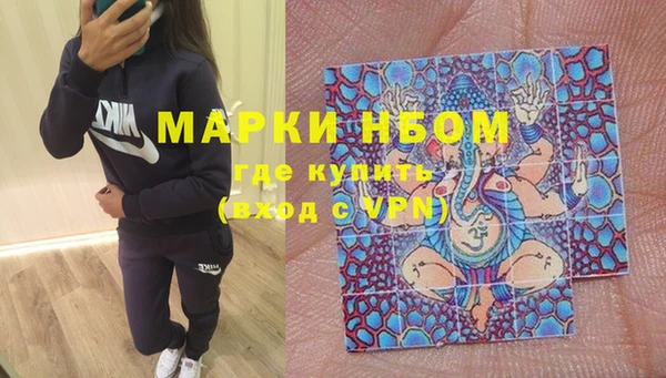 ПСИЛОЦИБИНОВЫЕ ГРИБЫ Заволжье