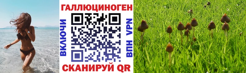 Псилоцибиновые грибы GOLDEN TEACHER  МЕГА tor  Нефтекамск  продажа наркотиков 